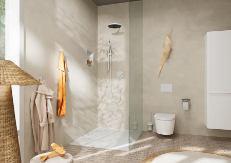 Держатель туалетной бумаги с полкой Hansgrohe AddStoris 41772700 белый матовый